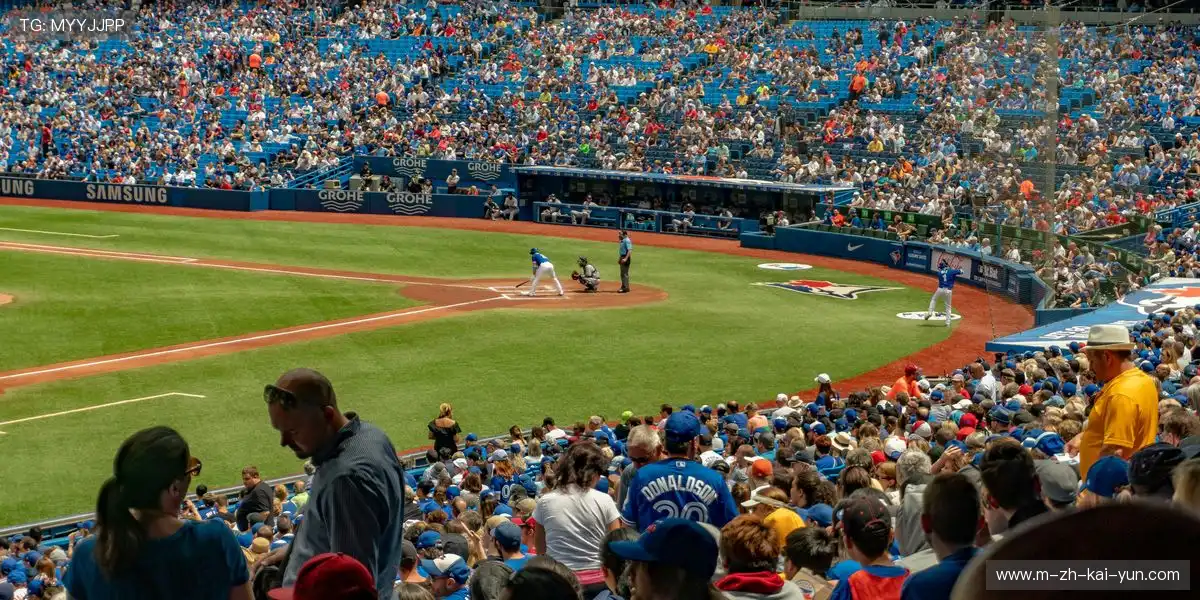 内容部署链路始终保持顺畅